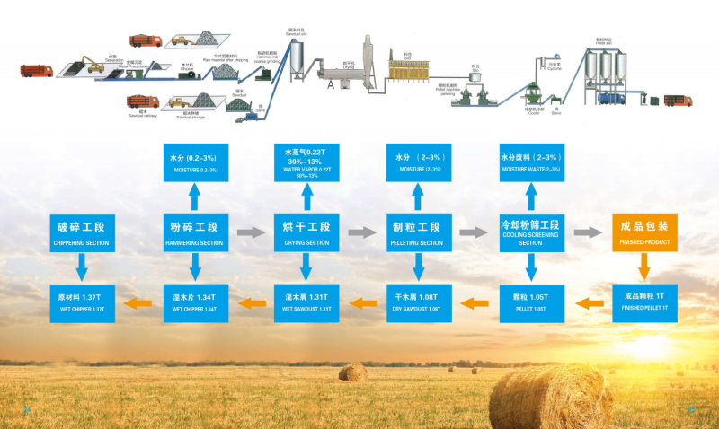 蜂鸟竞技宣传册_13 - 副本.png